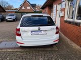 Skoda Octavia bei Reisemobile.expert - Abbildung (4 / 15)