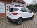 Ford EcoSport bei Reisemobile.expert - Abbildung (8 / 15)