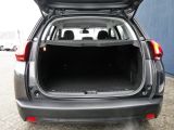 Peugeot 2008 bei Reisemobile.expert - Abbildung (9 / 15)