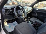 VW Beetle bei Reisemobile.expert - Abbildung (8 / 15)