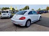VW Beetle bei Reisemobile.expert - Abbildung (6 / 15)