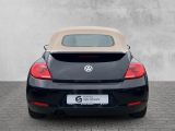VW Beetle bei Reisemobile.expert - Abbildung (5 / 15)