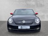 VW Beetle bei Reisemobile.expert - Abbildung (2 / 15)