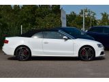 Audi A5 bei Reisemobile.expert - Abbildung (4 / 15)