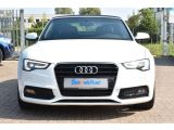 Audi A5 bei Reisemobile.expert - Abbildung (2 / 15)