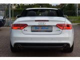 Audi A5 bei Reisemobile.expert - Abbildung (8 / 15)