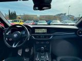 Alfa Romeo Stelvio bei Reisemobile.expert - Abbildung (11 / 14)