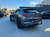 Alfa Romeo Stelvio bei Reisemobile.expert - Abbildung (5 / 10)