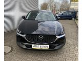 Mazda CX-30 bei Reisemobile.expert - Abbildung (5 / 15)