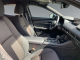 Mazda 3 bei Reisemobile.expert - Abbildung (15 / 15)