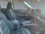 Mazda CX 5 bei Reisemobile.expert - Abbildung (15 / 15)