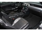 Ford Mustang bei Reisemobile.expert - Abbildung (13 / 15)