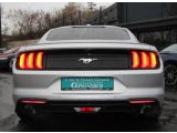 Ford Mustang bei Reisemobile.expert - Abbildung (7 / 15)