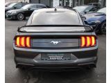 Ford Mustang bei Reisemobile.expert - Abbildung (4 / 15)