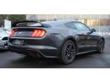 Ford Mustang bei Reisemobile.expert - Abbildung (6 / 15)