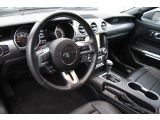 Ford Mustang bei Reisemobile.expert - Abbildung (14 / 15)