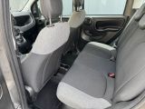 Fiat Panda bei Reisemobile.expert - Abbildung (7 / 14) Fiat Panda bei Reisemobile.expert - Abbildung (7 / 14)