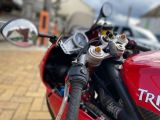 Triumph Daytona bei Reisemobile.expert - Abbildung (6 / 15)