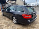 Mercedes-Benz E-Klasse bei Reisemobile.expert - Abbildung (2 / 15)