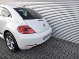 VW Beetle bei Reisemobile.expert - Abbildung (6 / 10)