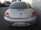 VW New Beetle bei Reisemobile.expert - Abbildung (8 / 10)