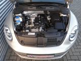 VW New Beetle bei Reisemobile.expert - Abbildung (10 / 10)