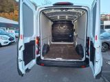Ford Transit bei Reisemobile.expert - Abbildung (4 / 10) Ford Transit bei Reisemobile.expert - Abbildung (4 / 10)