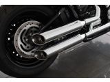 Harley-Davidson Softail bei Reisemobile.expert - Abbildung (11 / 15)