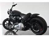 Harley-Davidson Softail bei Reisemobile.expert - Abbildung (3 / 15)