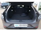 Ford Mustang Mach-E bei Reisemobile.expert - Abbildung (7 / 15)