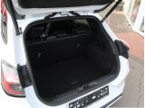 Ford Puma bei Reisemobile.expert - Abbildung (11 / 13)