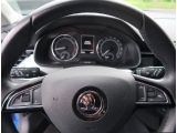 Skoda Kamiq bei Reisemobile.expert - Abbildung (10 / 15)