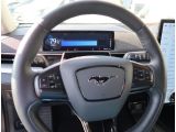 Ford Mustang Mach-E bei Reisemobile.expert - Abbildung (12 / 15)