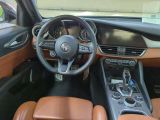 Alfa Romeo Giulia bei Reisemobile.expert - Abbildung (3 / 12)