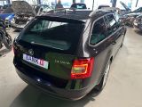 Skoda Octavia bei Reisemobile.expert - Abbildung (4 / 15)