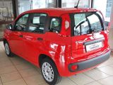 Fiat Panda bei Reisemobile.expert - Abbildung (3 / 7)