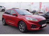 Ford Kuga bei Reisemobile.expert - Abbildung (6 / 15)
