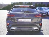 Kia XCeed bei Reisemobile.expert - Abbildung (5 / 15)