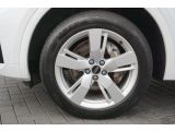 Audi Q5 bei Reisemobile.expert - Abbildung (9 / 15)