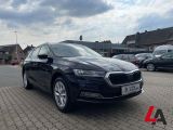 Skoda Octavia bei Reisemobile.expert - Abbildung (3 / 15)