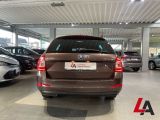 Skoda Octavia bei Reisemobile.expert - Abbildung (6 / 15)