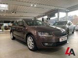 Skoda Octavia bei Reisemobile.expert - Abbildung (3 / 15)