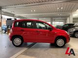 Fiat Panda bei Reisemobile.expert - Abbildung (4 / 15)