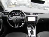 Skoda Octavia bei Reisemobile.expert - Abbildung (5 / 15)