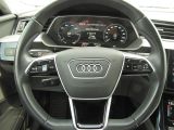 Audi e-tron bei Reisemobile.expert - Abbildung (11 / 15)