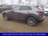 Mazda CX-30 bei Reisemobile.expert - Abbildung (3 / 15)