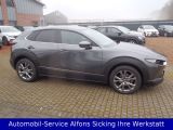 Mazda CX-30 bei Reisemobile.expert - Abbildung (6 / 15)