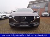 Mazda CX-30 bei Reisemobile.expert - Abbildung (5 / 15)