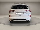 Ford Kuga bei Reisemobile.expert - Abbildung (5 / 15)