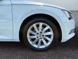 Skoda Superb bei Reisemobile.expert - Abbildung (15 / 15)